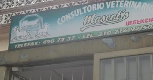 CONSULTORIO VETERINARIO MASCOTS BOGOTÁ CONSULTORIO VETERINARIO MASCOTS BOGOTÁ